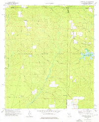 Download a high-resolution, GPS-compatible USGS topo map for Hurricane Lake, FL (1976 edition)