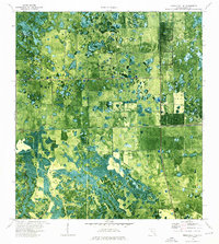 Download a high-resolution, GPS-compatible USGS topo map for Immokalee 1 NE, FL (1976 edition)