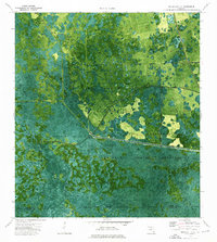 Download a high-resolution, GPS-compatible USGS topo map for Immokalee 1 SE, FL (1976 edition)