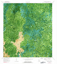 Download a high-resolution, GPS-compatible USGS topo map for Immokalee 4 SW, FL (1991 edition)