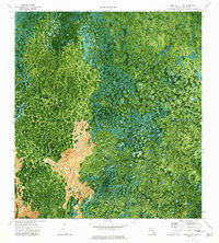 Download a high-resolution, GPS-compatible USGS topo map for Immokalee 4 SW, FL (1976 edition)
