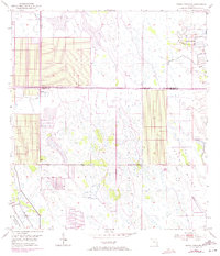 Download a high-resolution, GPS-compatible USGS topo map for Indian Town NW, FL (1977 edition)
