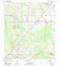 Download a high-resolution, GPS-compatible USGS topo map for Intercession City, FL (1988 edition)
