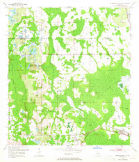 Download a high-resolution, GPS-compatible USGS topo map for Intercession City, FL (1965 edition)