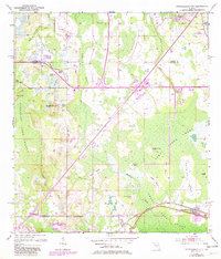 Download a high-resolution, GPS-compatible USGS topo map for Intercession City, FL (1981 edition)