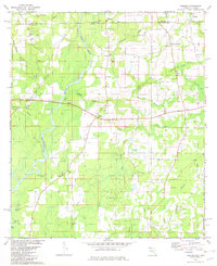 Download a high-resolution, GPS-compatible USGS topo map for Izagora, FL (1983 edition)