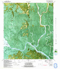Download a high-resolution, GPS-compatible USGS topo map for Jackson River, FL (1992 edition)