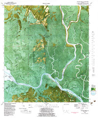 Download a high-resolution, GPS-compatible USGS topo map for Jackson River, FL (1984 edition)