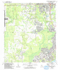 preview thumbnail of historical topo map of Clay County, FL in 1993