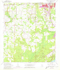 preview thumbnail of historical topo map of Clay County, FL in 1964