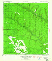 Download a high-resolution, GPS-compatible USGS topo map for Juniper Creek, FL (1960 edition)