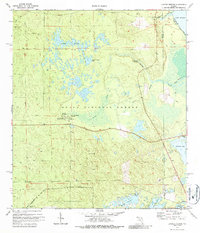 Download a high-resolution, GPS-compatible USGS topo map for Juniper Springs, FL (1987 edition)