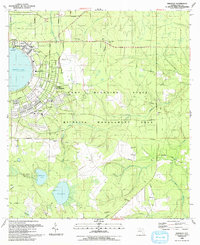 preview thumbnail of historical topo map of Clay County, FL in 1992