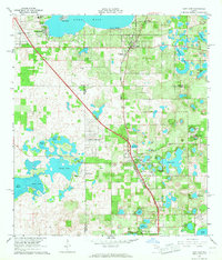 Download a high-resolution, GPS-compatible USGS topo map for Lady Lake, FL (1967 edition)