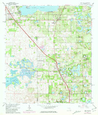 Download a high-resolution, GPS-compatible USGS topo map for Lady Lake, FL (1981 edition)