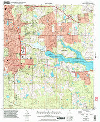 preview thumbnail of historical topo map of Leon County, FL in 1999