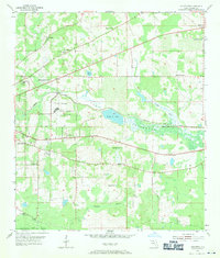 preview thumbnail of historical topo map of Leon County, FL in 1954