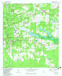 preview thumbnail of historical topo map of Leon County, FL in 1982