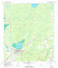Download a high-resolution, GPS-compatible USGS topo map for Lake Butler, FL (1989 edition)