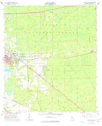 Download a high-resolution, GPS-compatible USGS topo map for Lake City East, FL (1977 edition)