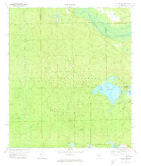 Download a high-resolution, GPS-compatible USGS topo map for Lake Delancy, FL (1973 edition)