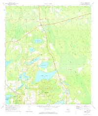 Download a high-resolution, GPS-compatible USGS topo map for Lake Dias, FL (1973 edition)