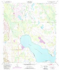 Download a high-resolution, GPS-compatible USGS topo map for Lake Hatchineha, FL (1987 edition)