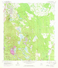 1966 Map of Lake Helen, 1977 Print