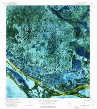Download a high-resolution, GPS-compatible USGS topo map for Lake Ingraham East, FL (1976 edition)