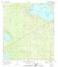 Download a high-resolution, GPS-compatible USGS topo map for Lake Kerr, FL (1989 edition)
