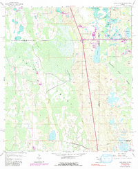 Download a high-resolution, GPS-compatible USGS topo map for Lake Louisa SW, FL (1991 edition)