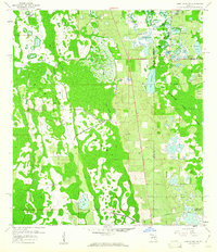 Download a high-resolution, GPS-compatible USGS topo map for Lake Louisa SW, FL (1960 edition)