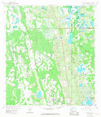 Download a high-resolution, GPS-compatible USGS topo map for Lake Louisa SW, FL (1968 edition)