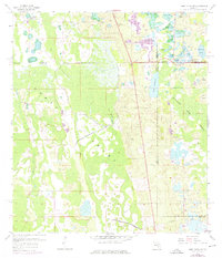 Download a high-resolution, GPS-compatible USGS topo map for Lake Louisa SW, FL (1976 edition)