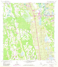 Download a high-resolution, GPS-compatible USGS topo map for Lake Louisa SW, FL (1981 edition)