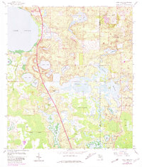 Download a high-resolution, GPS-compatible USGS topo map for Lake Louisa, FL (1981 edition)