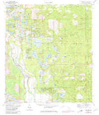 preview thumbnail of historical topo map of Marion County, FL in 1972