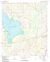 Download a high-resolution, GPS-compatible USGS topo map for Lake Miccosukee, FL (1993 edition)