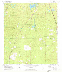 Download a high-resolution, GPS-compatible USGS topo map for Lake Munson, FL (1972 edition)
