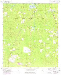 preview thumbnail of historical topo map of Leon County, FL in 1969