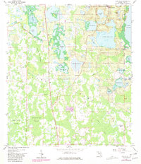 Download a high-resolution, GPS-compatible USGS topo map for Lake Nellie, FL (1981 edition)