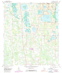 Download a high-resolution, GPS-compatible USGS topo map for Lake Nellie, FL (1981 edition)