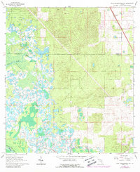 Download a high-resolution, GPS-compatible USGS topo map for Lake Panasoffkee NW, FL (1988 edition)