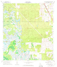 Download a high-resolution, GPS-compatible USGS topo map for Lake Panasoffkee NW, FL (1974 edition)