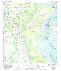 Download a high-resolution, GPS-compatible USGS topo map for Lake Poinsett NW, FL (1989 edition)