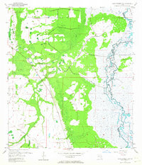 Download a high-resolution, GPS-compatible USGS topo map for Lake Poinsett NW, FL (1964 edition)
