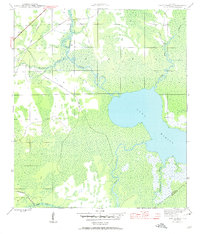 Download a high-resolution, GPS-compatible USGS topo map for Lake Wimico, FL (1960 edition)