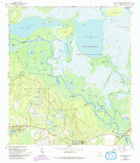 1962 Map of Lake Woodruff, 1993 Print
