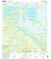 1999 Map of Lake Woodruff, 2001 Print