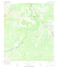 Download a high-resolution, GPS-compatible USGS topo map for Lamont SE, FL (1956 edition)